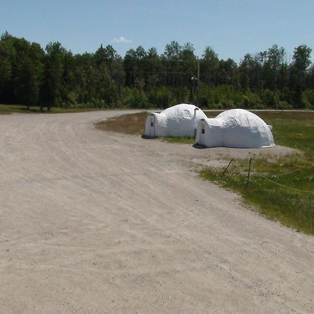 North Adventure Inn Cochrane Bagian luar foto