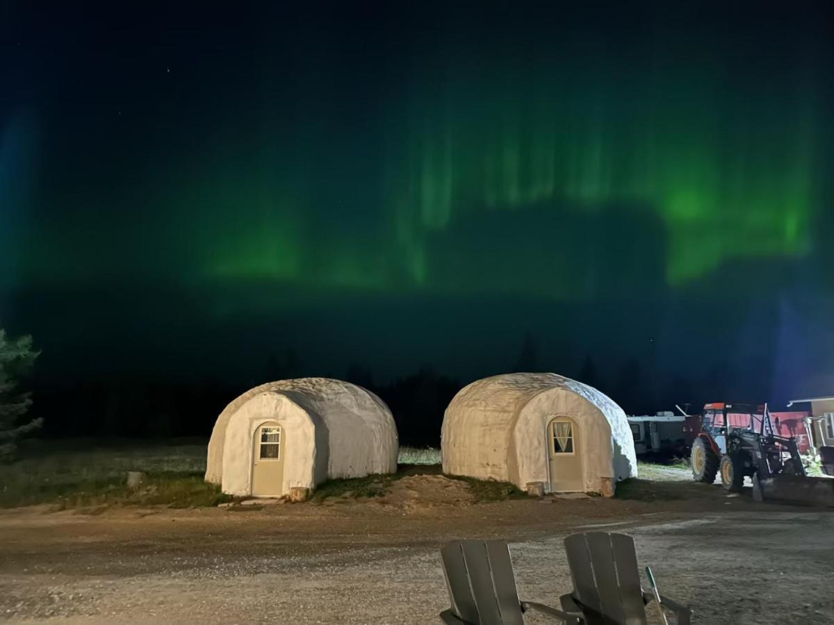 North Adventure Inn Cochrane Bagian luar foto