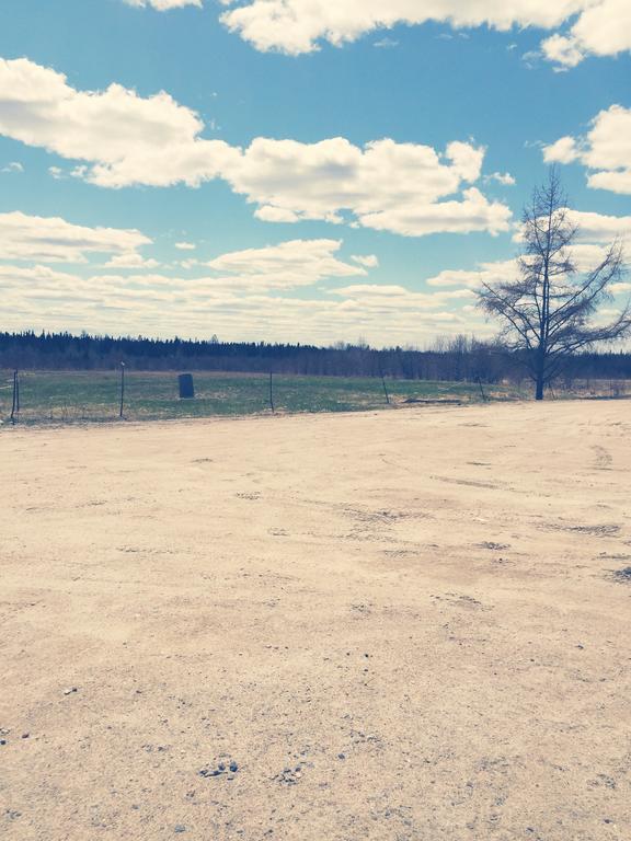 North Adventure Inn Cochrane Bagian luar foto