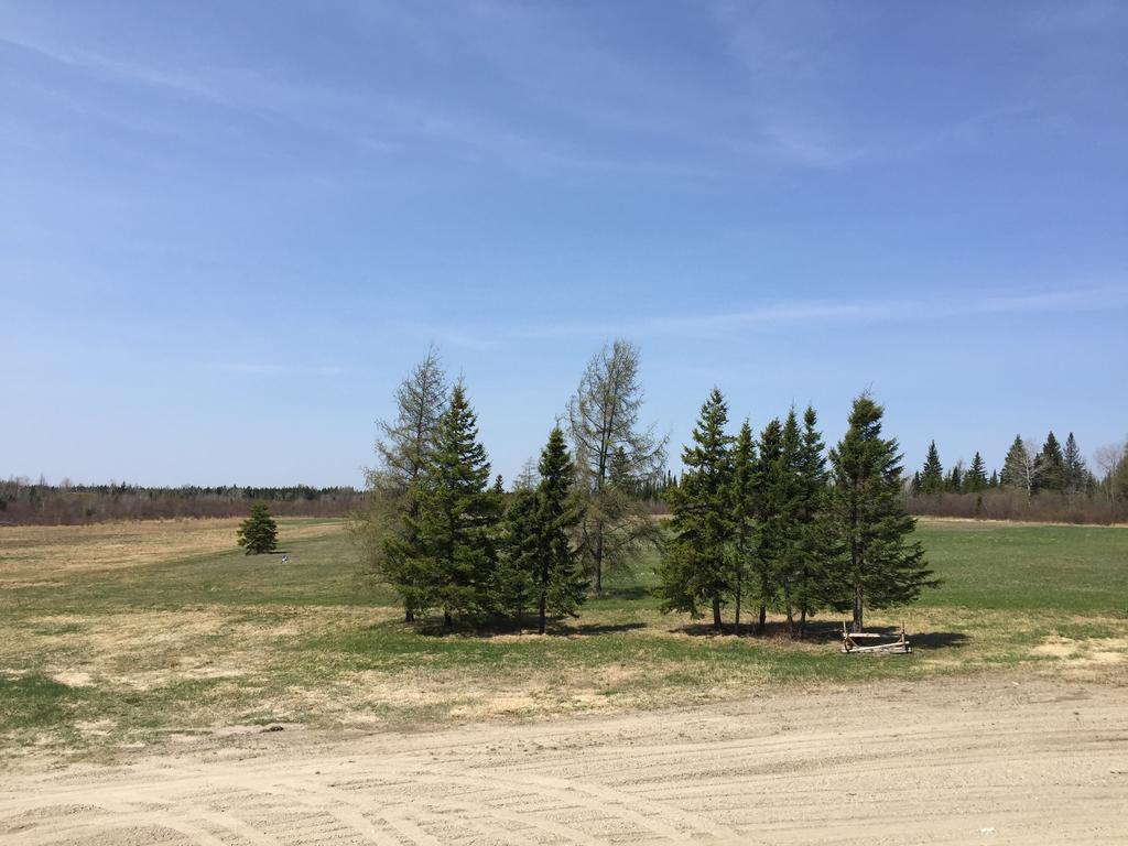 North Adventure Inn Cochrane Bagian luar foto